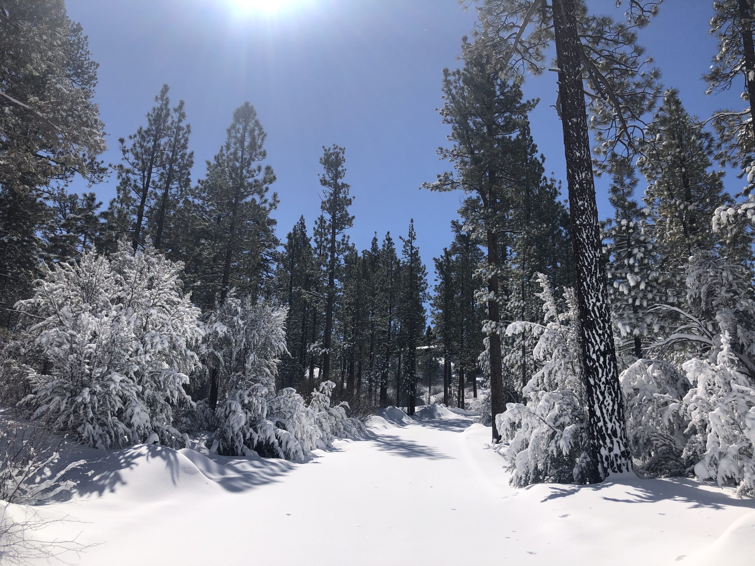 Big Bear Retreat Center – Residential Meditation Retreats Reimagined