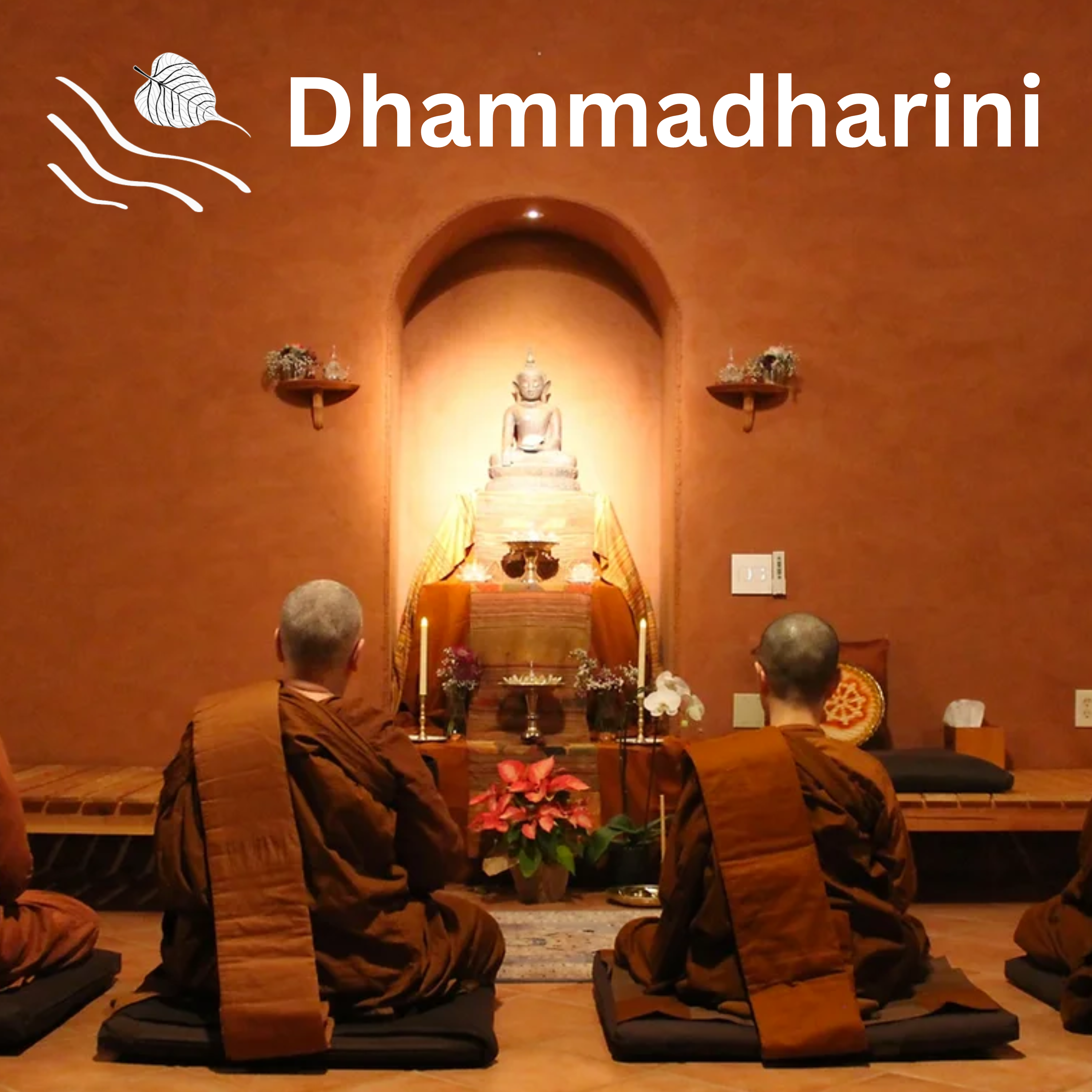 dhammadharini dhammadharini