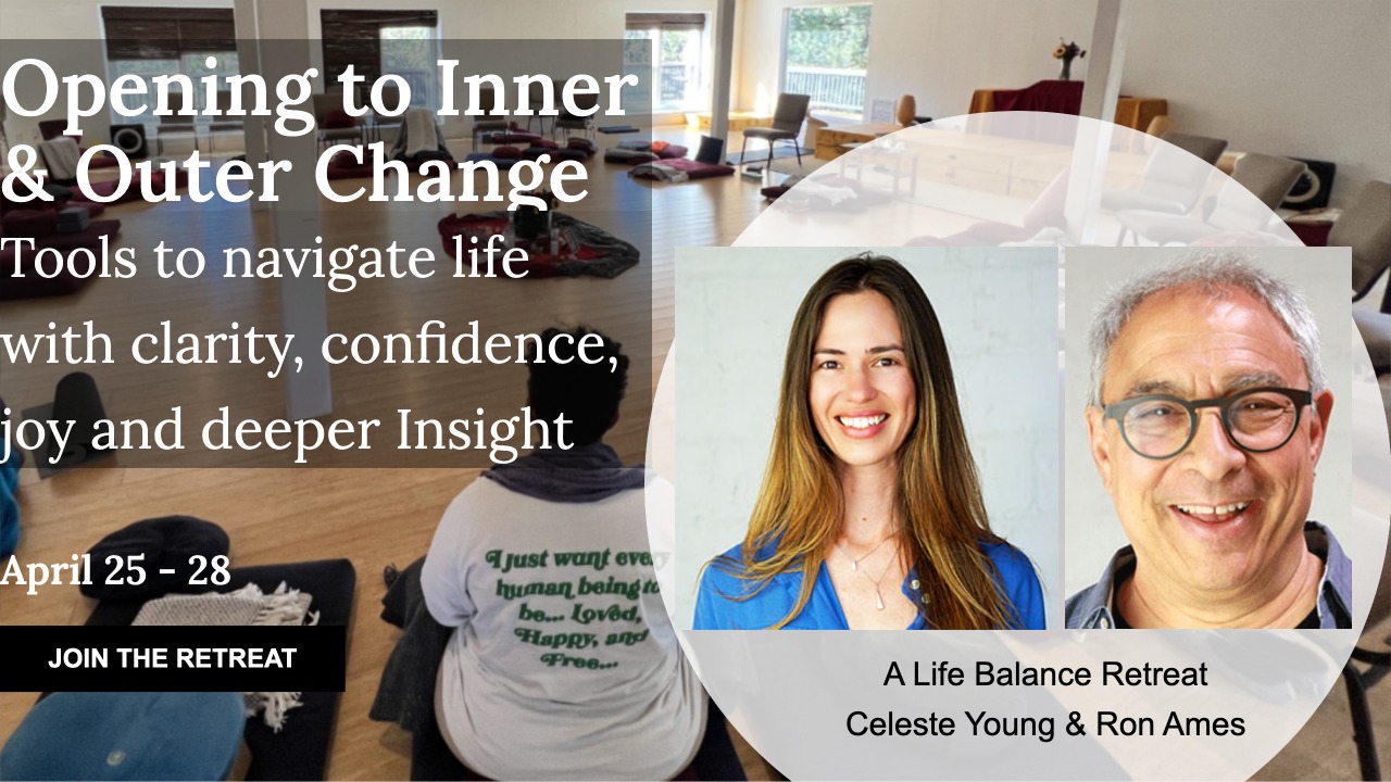 life balance institute opening to inner outer change retreat celeste young ron ames phillip moffitt