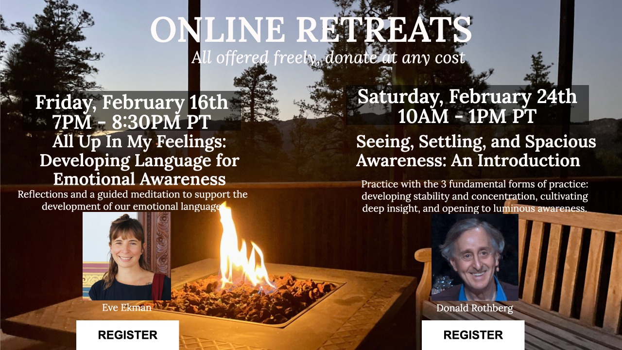 online retreats big bear meditation dharma february 2024 eve ekman donald rothberg