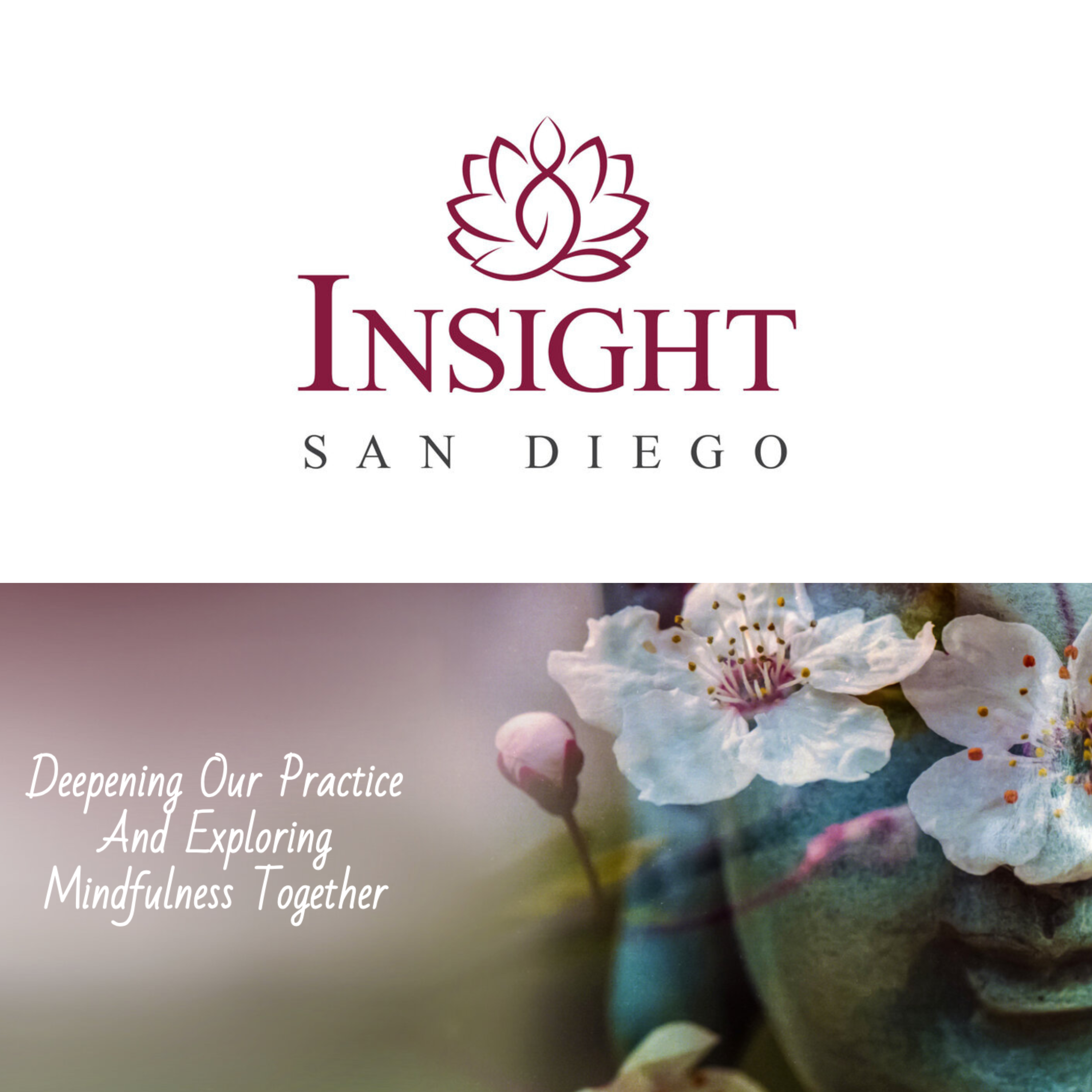 insightsd insightsd