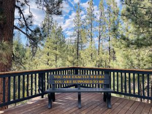 you are exactly where you are meant to be bench nature big bear retreat center