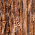 blog images 900 x 300 1