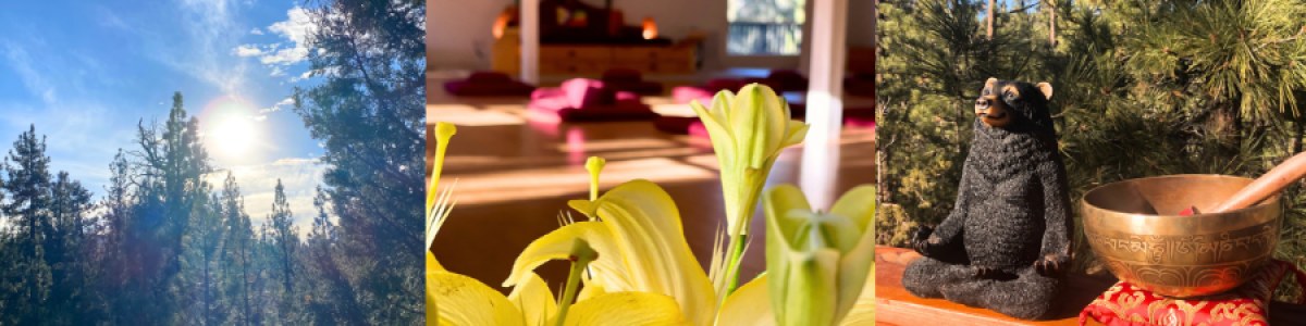 blog images 900 x 300 12