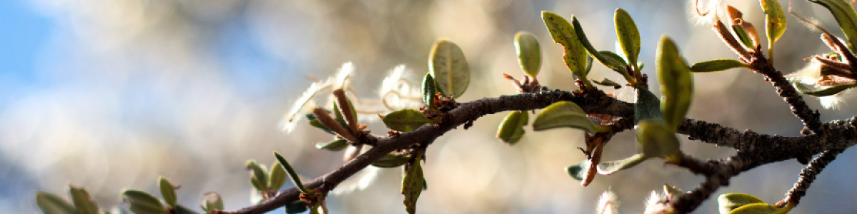 blog images 900 x 300 3