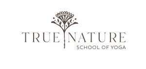 true nature yoga true nature yoga school