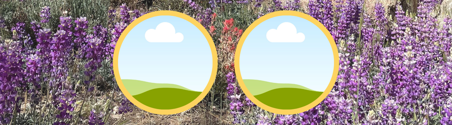 banner template 2 flowers
