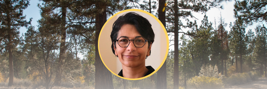 befriending-mortality befriending mortality silent meditation retreat nikki mirghafori teacher