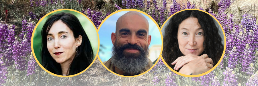 dharma-and-dance-2026 dharma-and-dance-2026