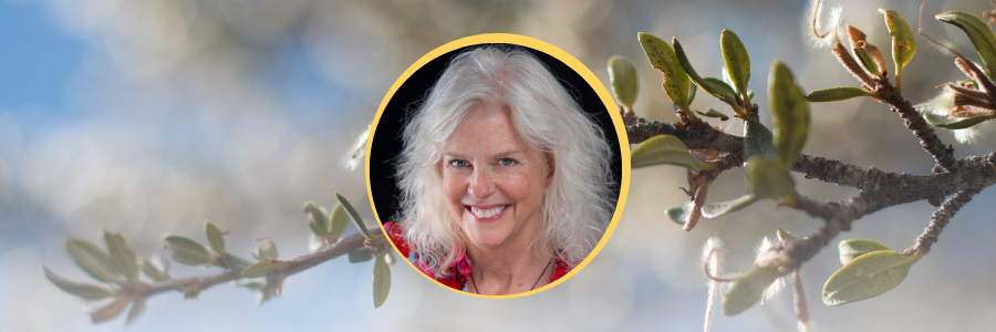 jill-satterfield jill-satterfield