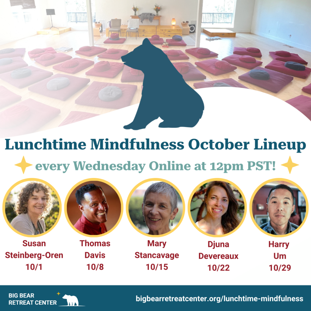 lunchtime mindfulness free online mindulness drop in wednesdays