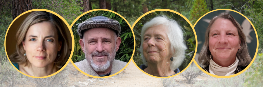 original body scan original body scan